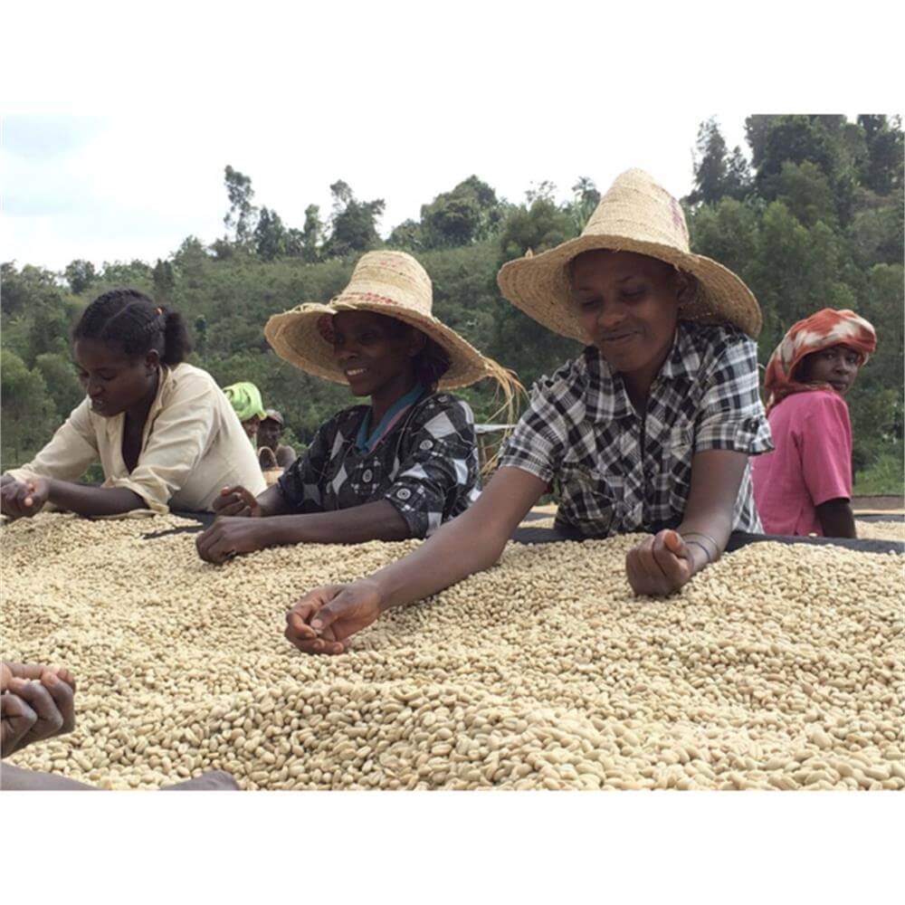 Strangers Ethiopia Coffee Rocko Mountain 250g